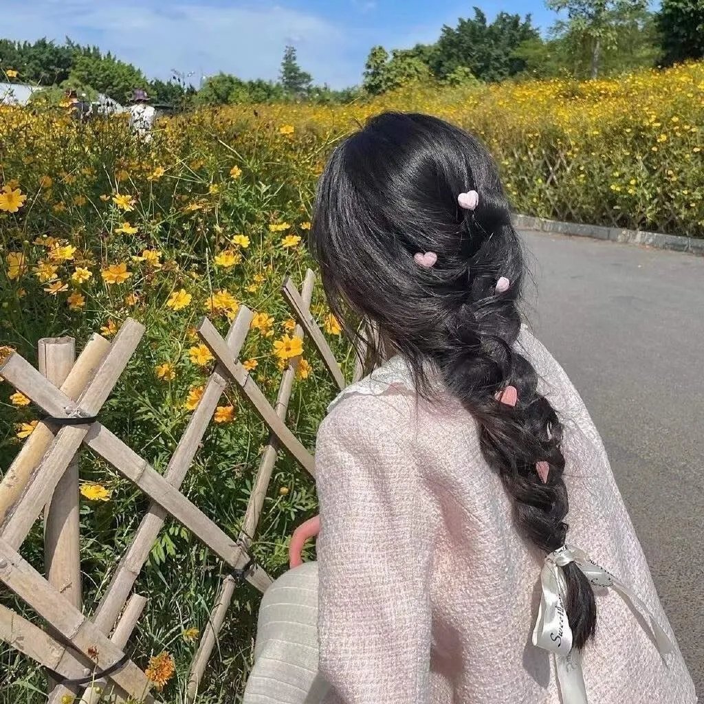 续·社长漫游记
