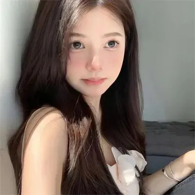 新选组始末录